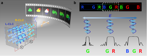 Polychronic Visual Soft chiral superstructure enabled dynamic polychromatic holography